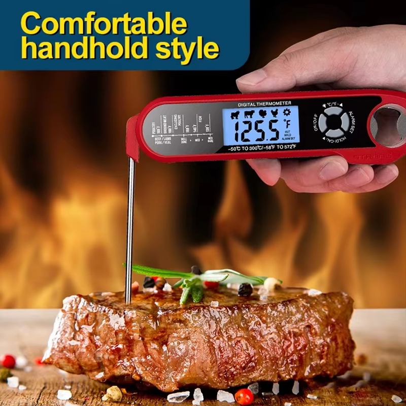 Meat Thermometer Dual-Probe Di - Home Cooking Help ulasan dan harga
